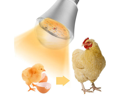 Kurczak Farm Wodoodporne oświetlenie LED z możliwością ściemniania 9W