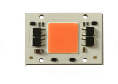 Cena fabryczna Bez sterownika Pełna dioda LED Chip o mocy 100 W COB Led do uprawy światła