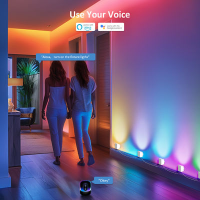 Kontrola Bluetooth Adresowalna RGBCW Smart Ściana Sconces / Eave Lights Dla Dekoracji Bożonarodzeniowej