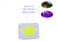 Dioda LED COB z serii 4046 200w High Power Led Street Light Cob Flip Chip